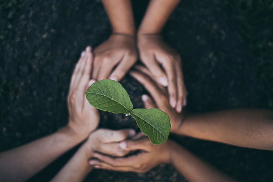 environmental impact of citric acid